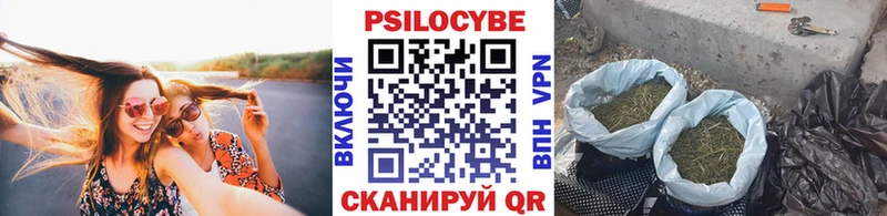 Псилоцибиновые грибы Magic Shrooms Родники